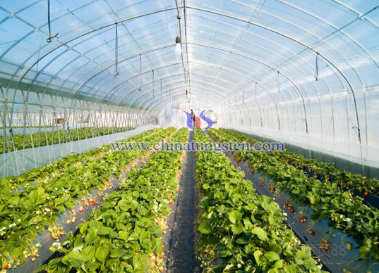 heat insulating agricultural membrane image heat insulating agricultural membrane image
