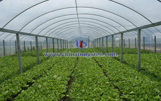 heat insulating agricultural membrane image heat insulating agricultural membrane image